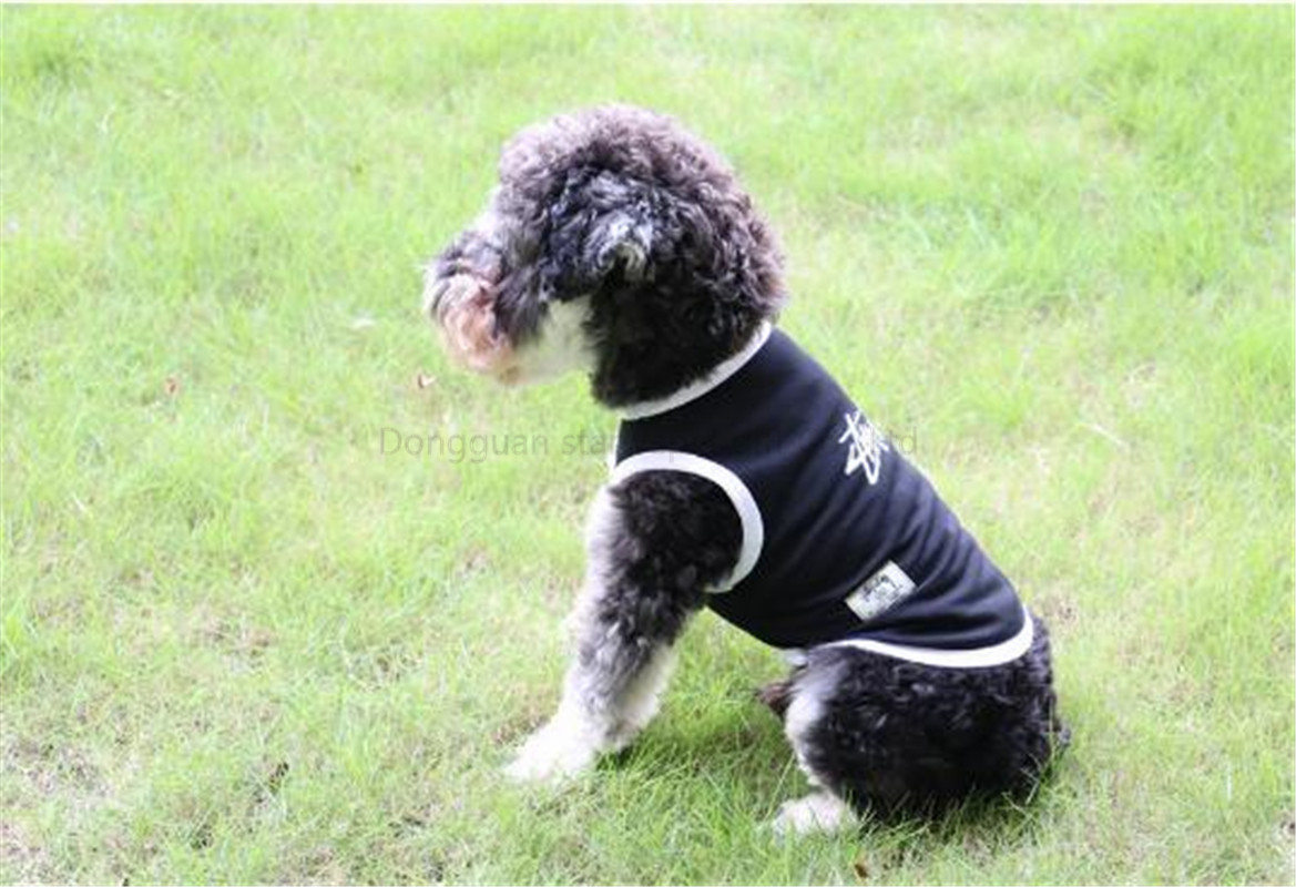 dog clothes