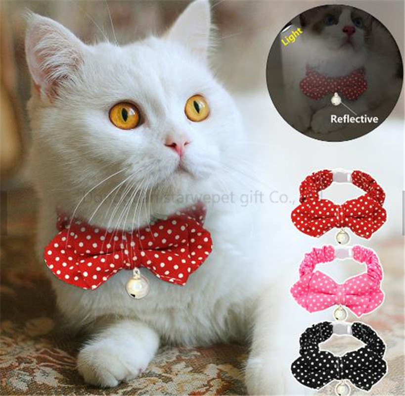 cat collar-12