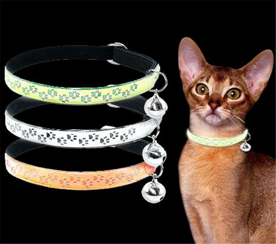 cat collar-17