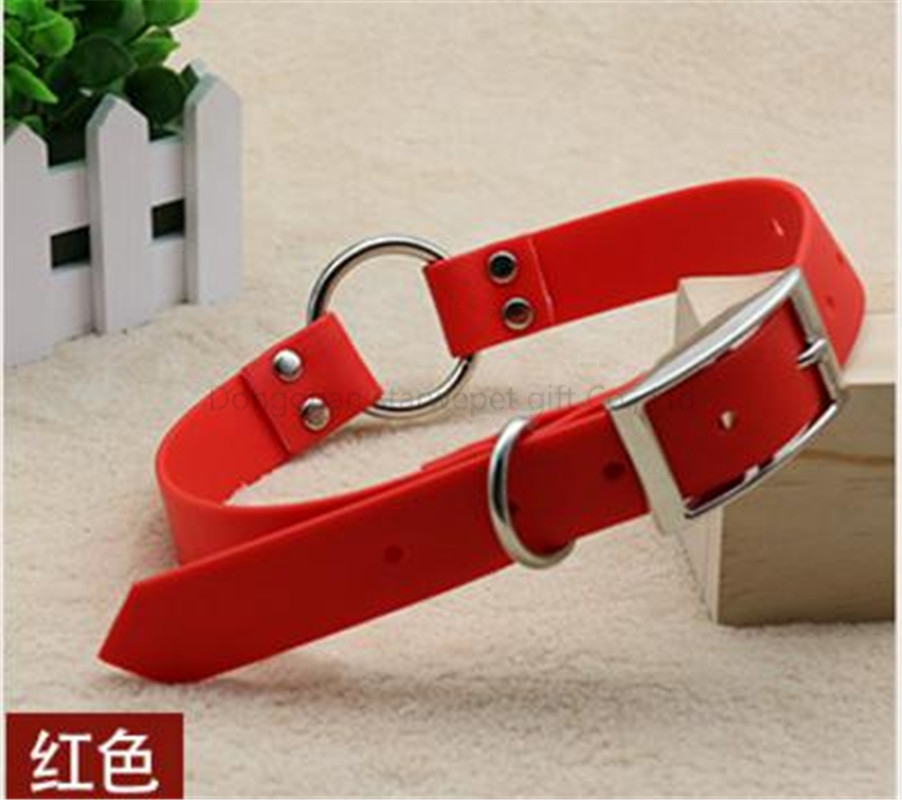 waterproof collar-12