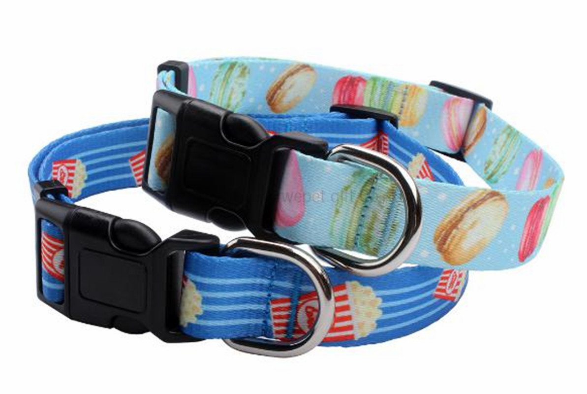 heat transfer printing collar-10