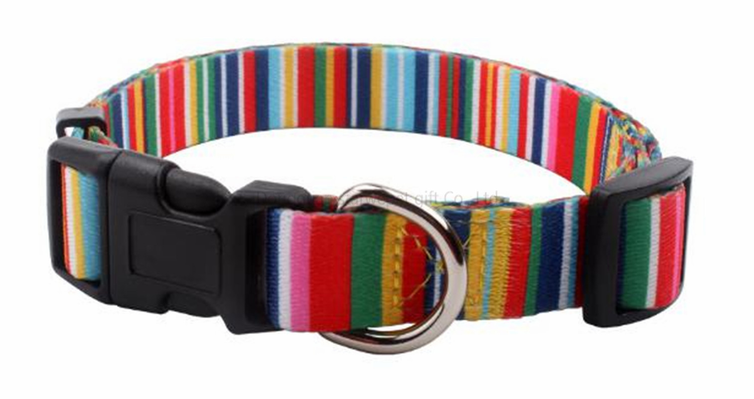 heat transfer printing collar-14