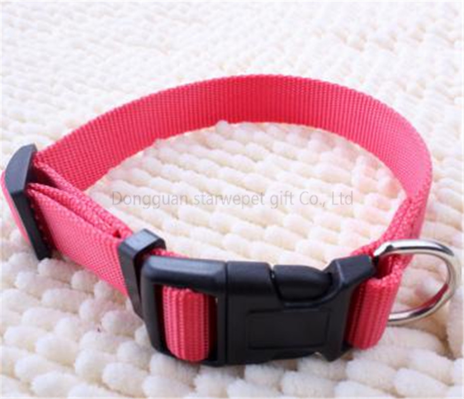 nylon webbing collar-01