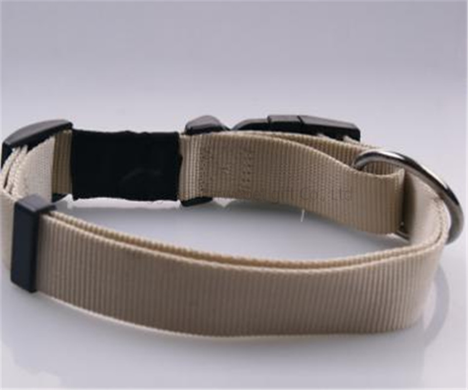 nylon webbing collar-03