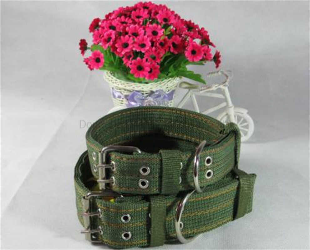 nylon webbing collar-05