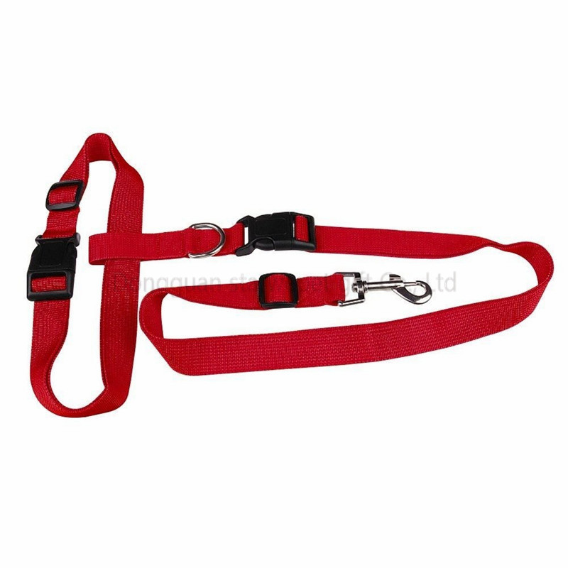handfree leash-09
