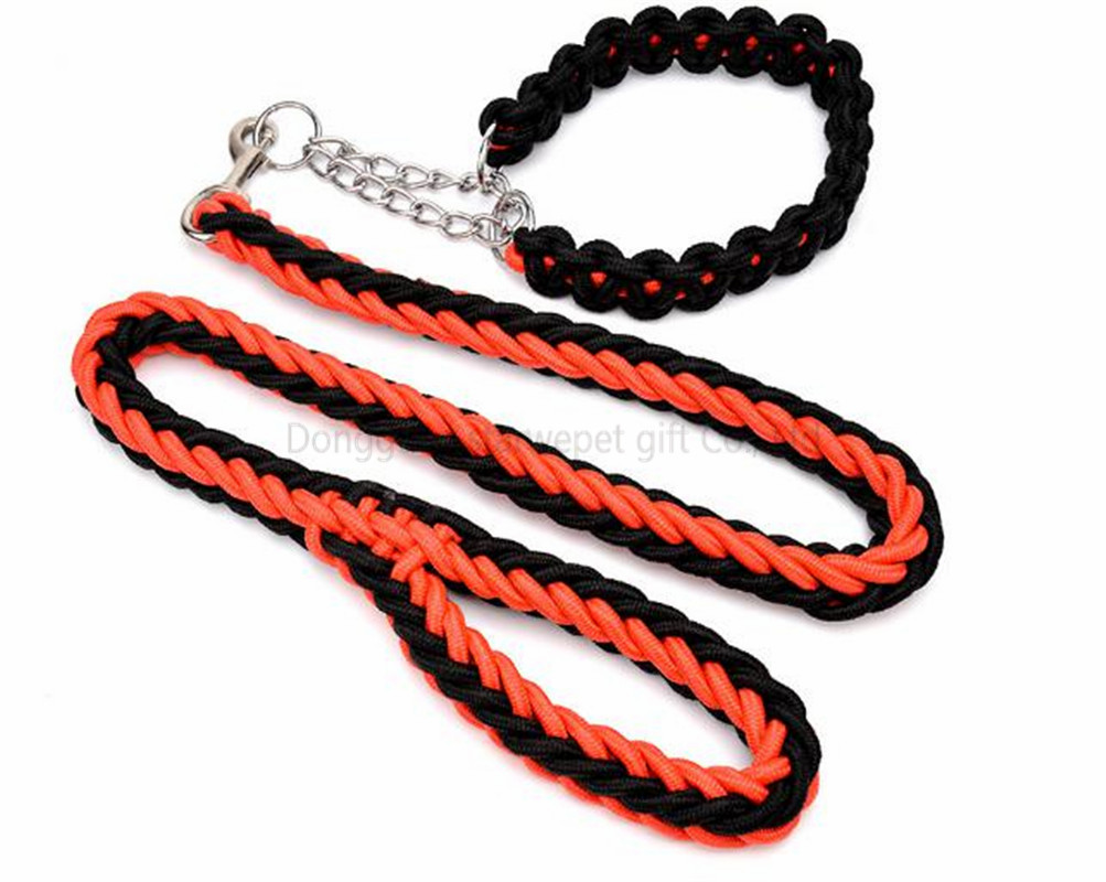 slip leash-38