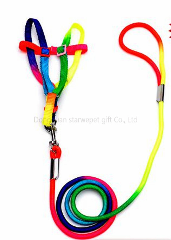 slip leash-41