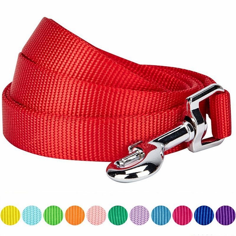nylon webbing leash-11
