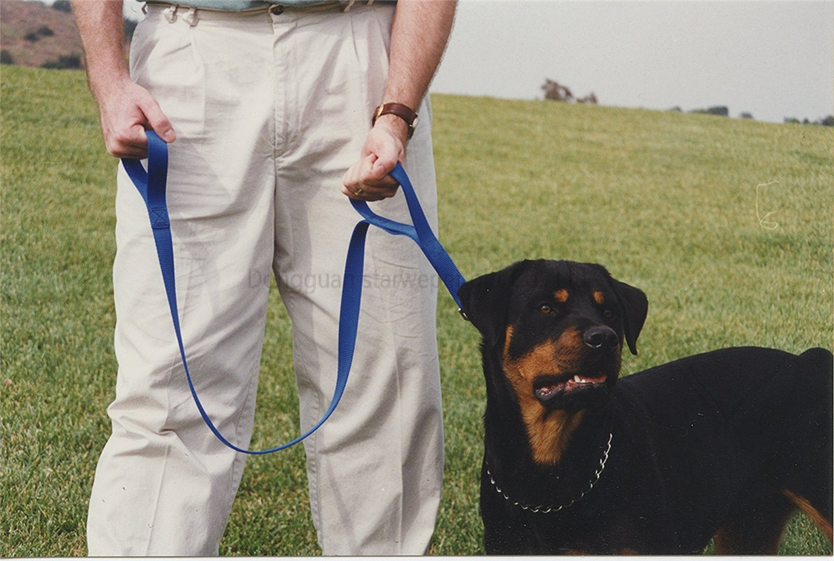 nylon webbing leash-13