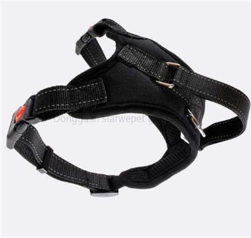 harness-12
