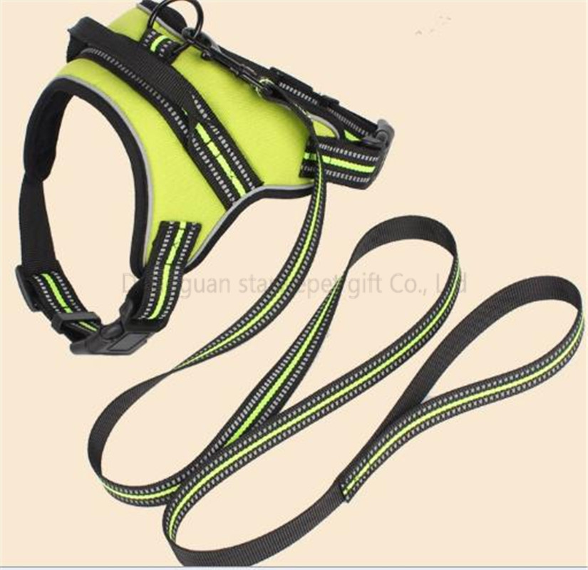 harness-25