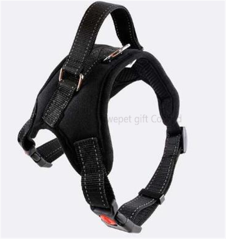 harness-30